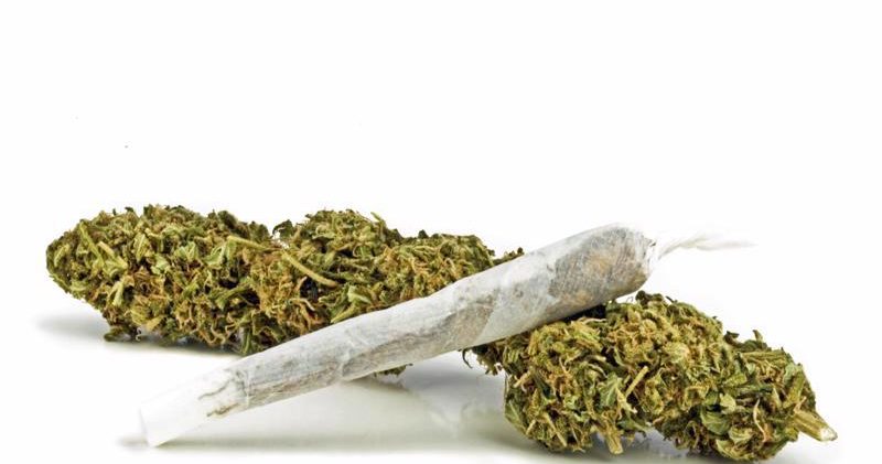 The Best Marijuana Strains for Beginners